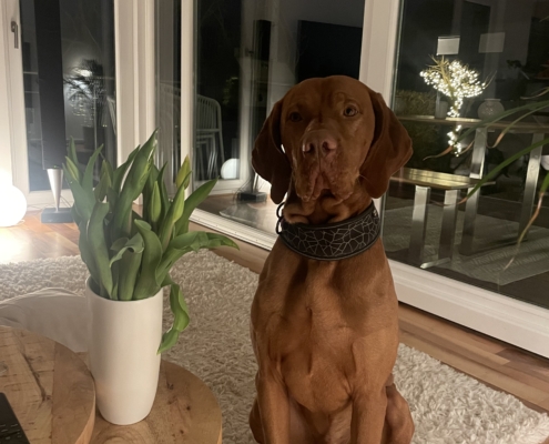 Mein Expertenteam zuhause/ unterwegs